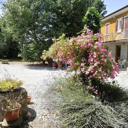 Rosa Malatestiana Apartamento *